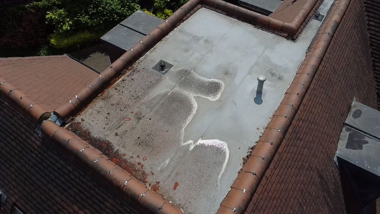 BDM